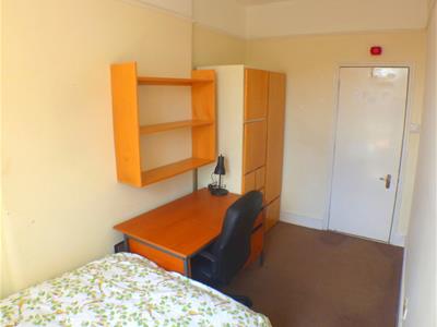 Picture 5